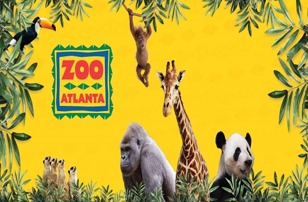 Zoo Atlanta